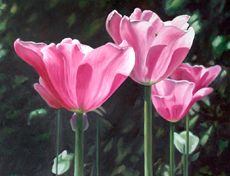 Holger Schulten - Ölbild "Tulpen"