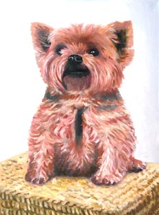 Holger Schulten - Ölbild "Chico;pfe"