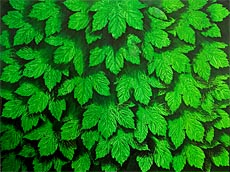 Holger Schulten - Ölbild "Blätter"